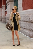 detachable-collar52